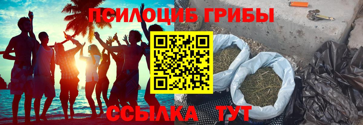 Галлюциногенные грибы Cubensis  Воткинск 