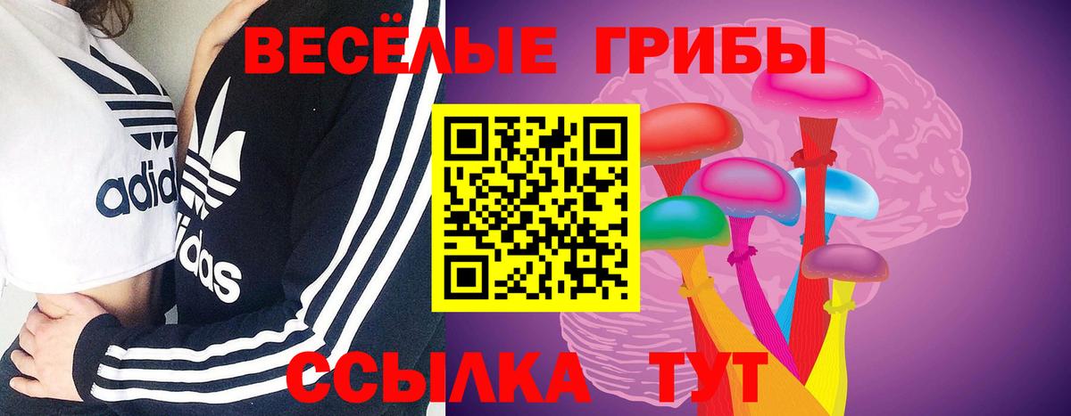 Галлюциногенные грибы Cubensis  Вход с VPN  Воткинск 